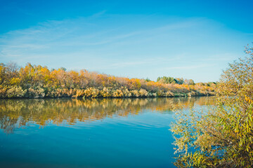 Landscape of a beautiful lake at the edge of the forest