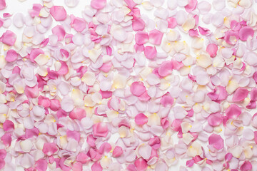 Obraz premium Pink rose flowers petals on white background. Flat lay, top view, copy space.