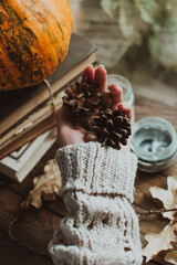 A woman holds in her hands a beautiful fall assortment. Cotton, bump, nut and acorn. Scandinavian hygge concept. Cozy autumn scene. Halloween and Thanksgiving concept.