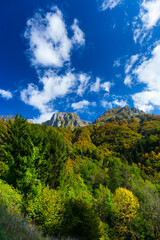 Fototapeta premium Triglav National Park, Municipality of Tolmin, Slovenia, Europe