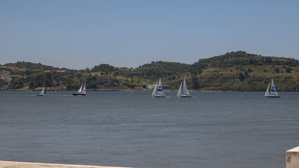 barcos a vela