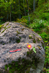 Triglav National Park, Municipality of Tolmin, Slovenia, Europe