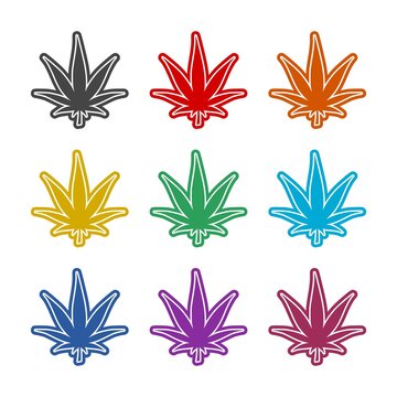 Cannabis leaf icon. Marijuana leaf icon, color set