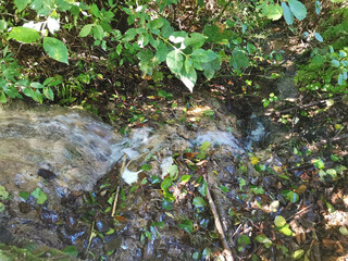 Close up from a little waterfall