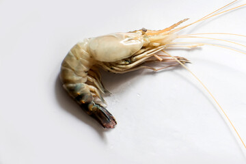 Single raw prawn isolated on white background