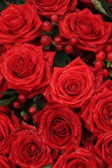 Red bridal roses with drops