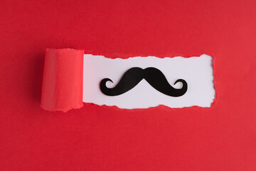 Top above overhead view photo of hipster moustache and torn red paper over white background with copyspace