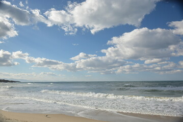 mare