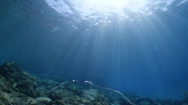 air bubbles underwater in blue water moving strange some in focus some out of focus making nive background shapes with sun rays and sun shine