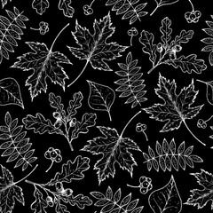 Autumn leaves seamless pattern. Fall background. Hand drawn design. Vector illustration. Sketch maple leaves.