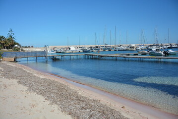 mare