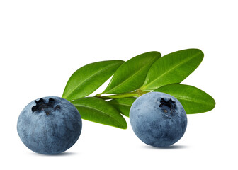Blueberries with leaves isolated on white background with clipping path