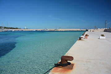 mare