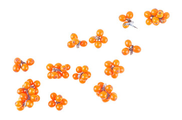 Small branches of sea buckthorn berries isolated on a white background, top view. Fresh ripe...