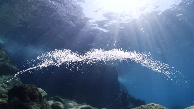 air bubbles underwater in blue water moving strange some in focus some out of focus making nive background shapes with sun rays and sun shine