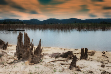 the sunset with dead trees foreground , nakaiy laos 