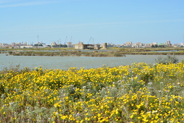 saline trapani