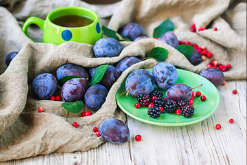 Plums and cranberries on linen fabric, selective focus.