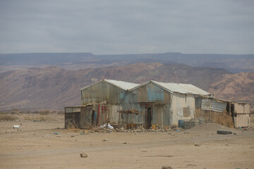 in the middle of a lone fertilized dry desert where there is a goat near the building