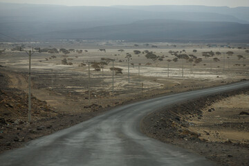 asphalt road leads down the hill through the desert
