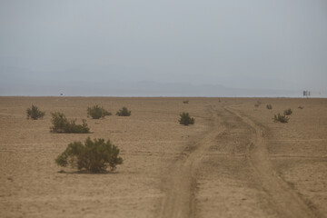 car tracks run into the desert to the horizon