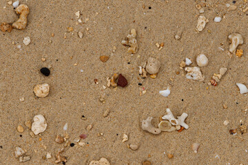 stones washed from the sea sand form beautiful patterns