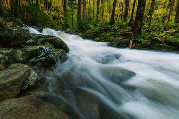 Great Smoky Mountains