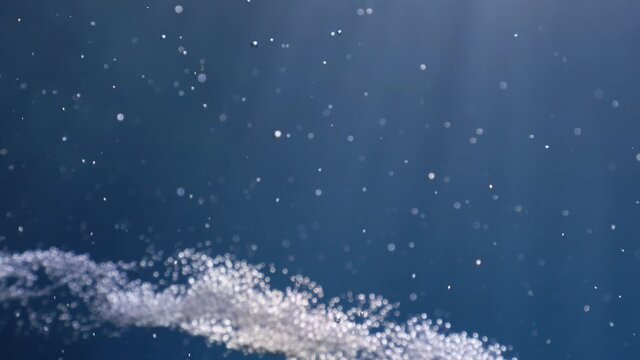 air bubbles underwater in blue water moving strange some in focus some out of focus making nive background shapes with sun rays and sun shine