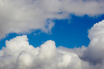 Cumulus white clouds over the tops of the trees