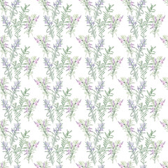 Seamless pattern with rosemary herbs and flowers. Watercolor botanical illustration on a white isolated background. elegant design for wallpapers, fabric and other design projects. 