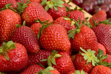strawberries are fresh against the background of nature a lot of ripe berries
