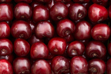 cherry ripe sweet viburnum cherry background