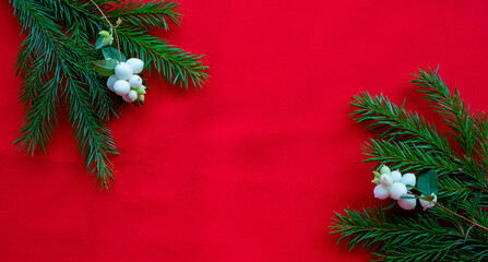 Christmas background with spruce branches and white dogwood berries on a red canvas background. Christmas card. The theme of a winter holiday. Happy New Year. Space for text