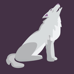 Wolf on purple background.  Vector illustration.