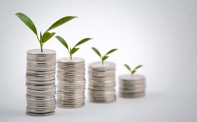 Coins stack and leaf on the white background, Saving  ideas and  investment budget, Business saving money concept, Copy space