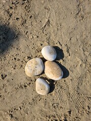 Fototapeta na wymiar Piedras en la arena de la playa 