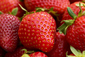 strawberry ripe pure red berry close up