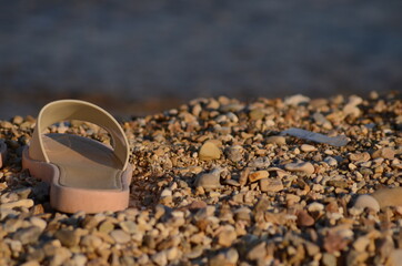 My mother's flip flop.