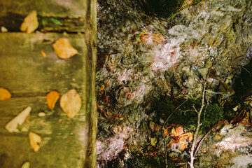 autumn leaves on wooden background. Golden fall leaves close up. seasonal foliage autumn colours.