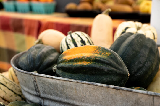 Whole acorn squash, delicata squash, and butternut squash in a metal tub at the farmers market