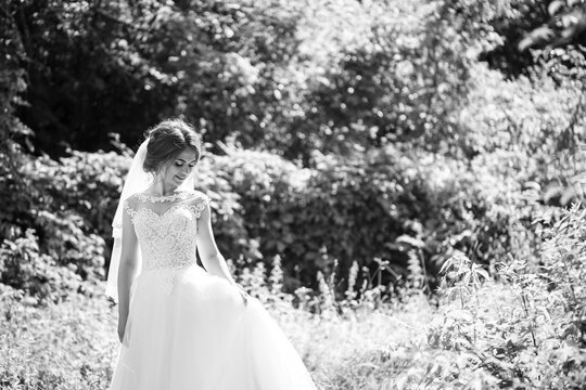 Portrait black and white photo happy bride in a long white wedding dress and veil in a green park on nature. Wedding image of a young girl, women's makeup and hairstyle. Marriage concept
