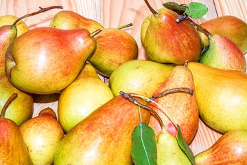 Group of pear . Composition of pears on wooden table