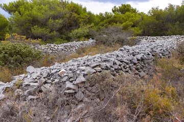 Beautiful, traditional Dalmatian symvbol, stone drywall on the Hvar island, Croatia, at the forest...