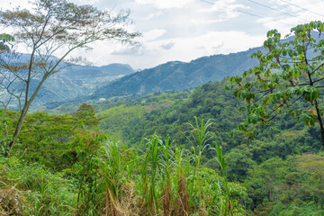 Colombian landscapes. Green mountains in Colombia, Latin America