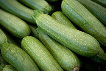 Stacks of grey green zucchini at the farmers market