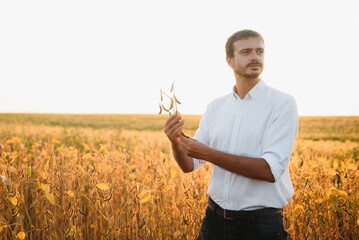 farmer agronomist in soybean field checking crops before harvest. Organic food production and cultivation.