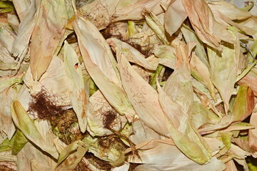 dry leaves background