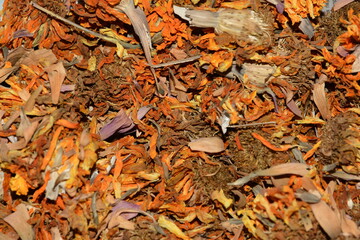 autumn leaves background