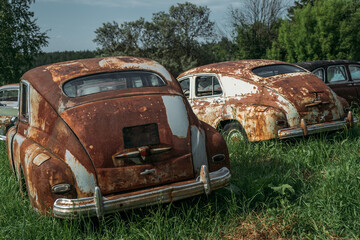 Rusty abandoned vintage cars on green nature landscape.