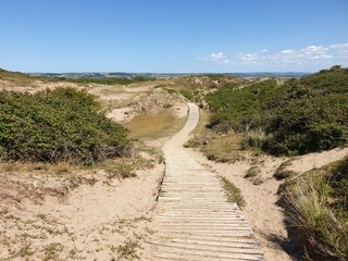 sand dunes in burrows